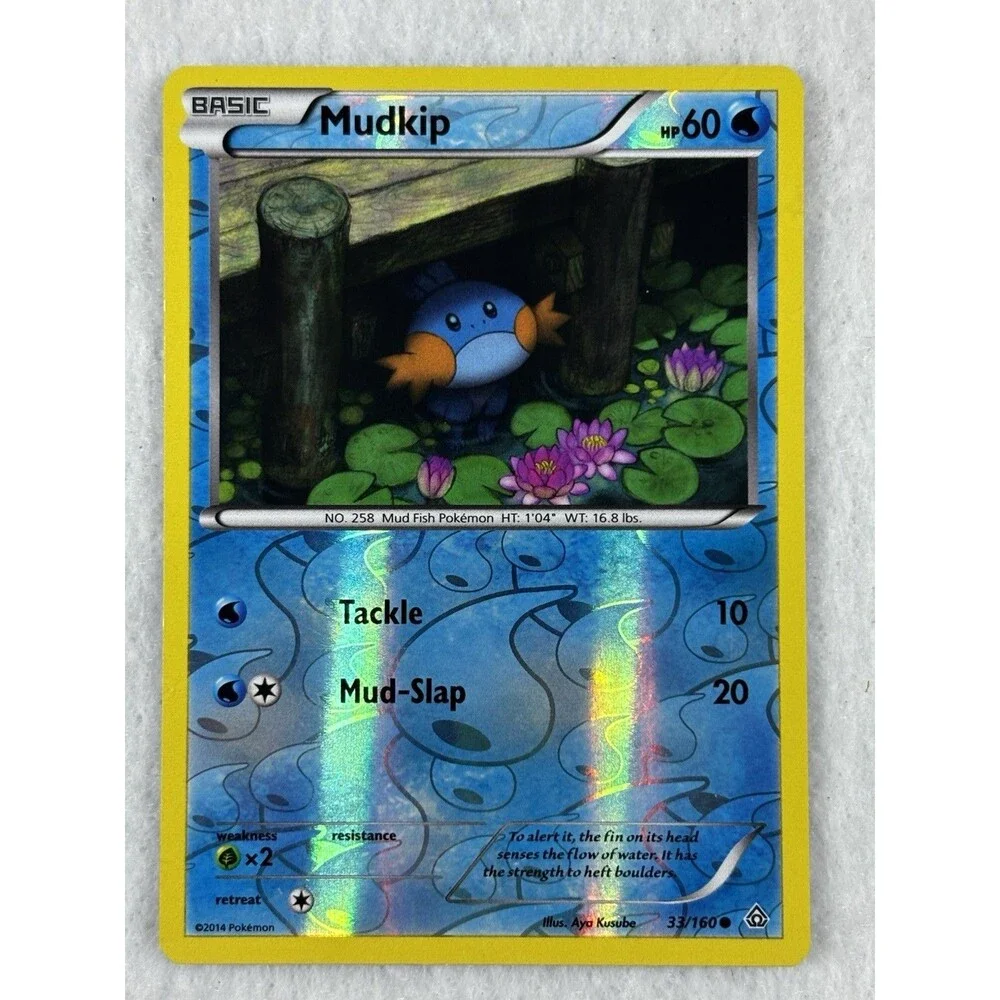 Pokemon Water Type Card Lot of 13 Reverse Holo Milotic Kyogre Mudkip XY Preowned